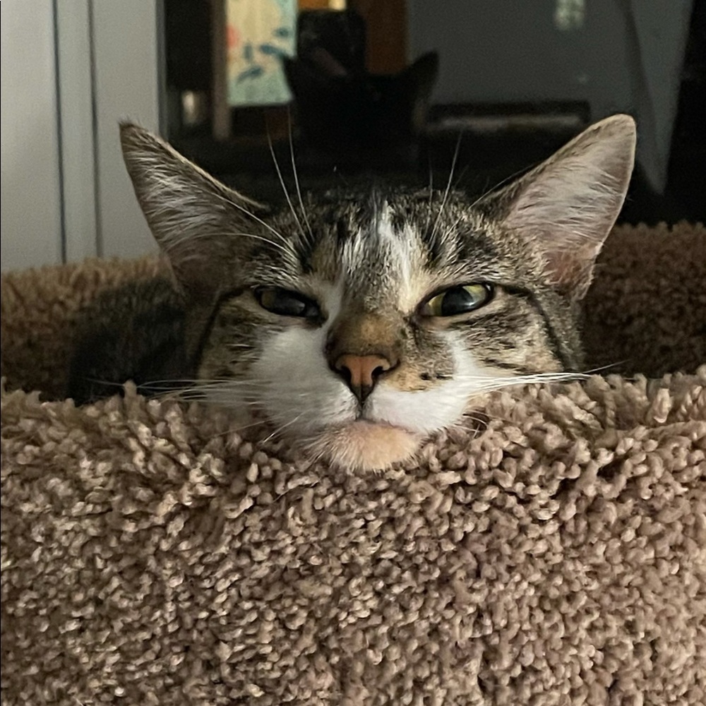 Meet your Posher, Meredith